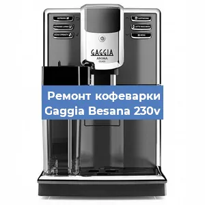 Чистка кофемашины Gaggia Besana 230v от кофейных масел в Москве